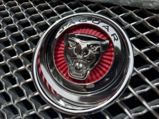/photos/12318/74e6b796-caf0-4d93-9b49-74e8de9647fa_i320x240.jpg