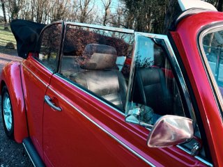 /photos/12318/f8ad4d8c-aef8-4918-a113-a967b9a61ff3_i320x240.jpg